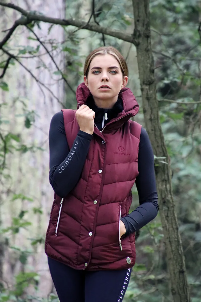 Coldstream Kimmerston Quilted Gilet - Windsor Wine Medium-5